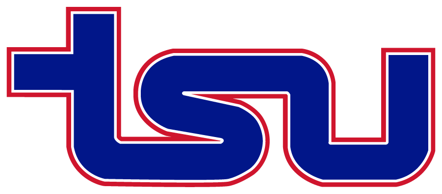 Tennessee State Tigers 2021-Pres Secondary Logo v2 diy iron on heat transfer